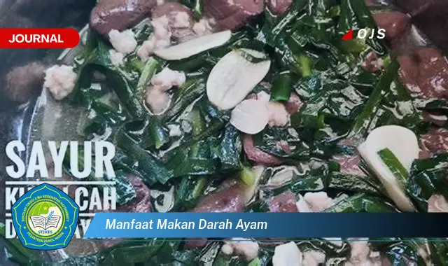 manfaat makan darah ayam