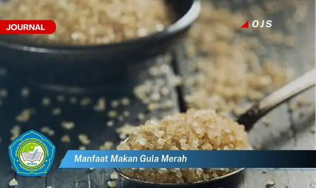 Temukan 6 Manfaat Makan Gula Merah yang Wajib Kamu Intip - E-Journal