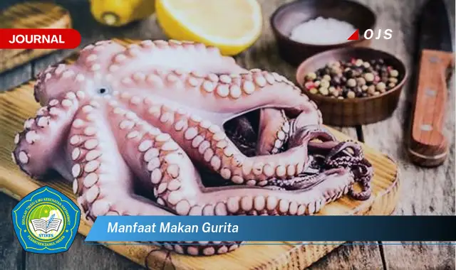 manfaat makan gurita manfaat makan gurita