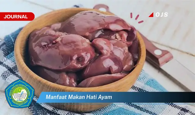 manfaat makan hati ayam manfaat makan hati ayam