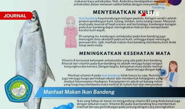 manfaat makan ikan bandeng