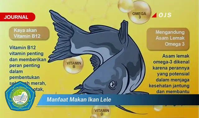Intip 6 Manfaat Makan Ikan Lele yang Bikin Kamu Penasaran - E-Journal