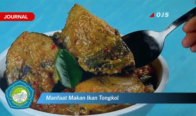 manfaat makan ikan tongkol