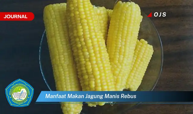 manfaat makan jagung manis rebus