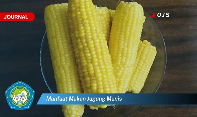 manfaat makan jagung manis