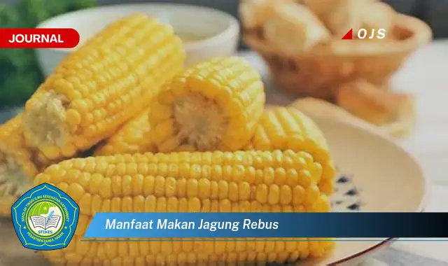 manfaat makan jagung rebus