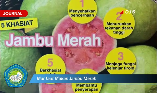 manfaat makan jambu merah