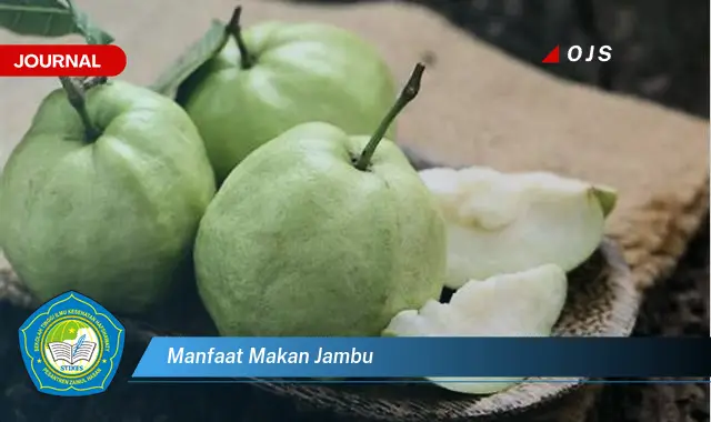 manfaat makan jambu manfaat makan jambu