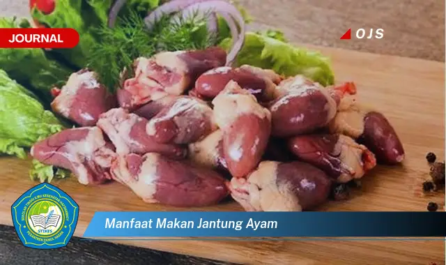 manfaat makan jantung ayam