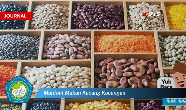 manfaat makan kacang kacangan