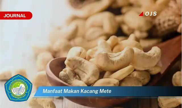 manfaat makan kacang mete manfaat makan kacang mete