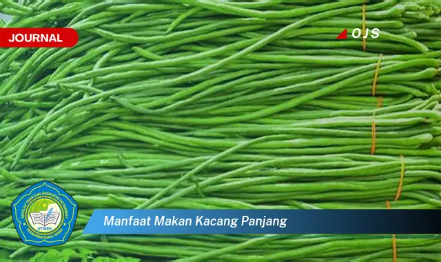manfaat makan kacang panjang manfaat makan kacang panjang