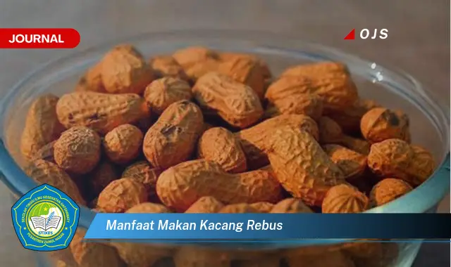 manfaat makan kacang rebus
