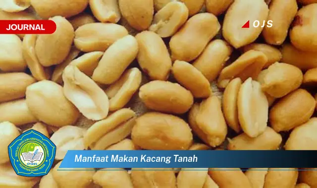 manfaat makan kacang tanah