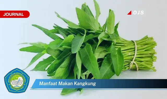 manfaat makan kangkung