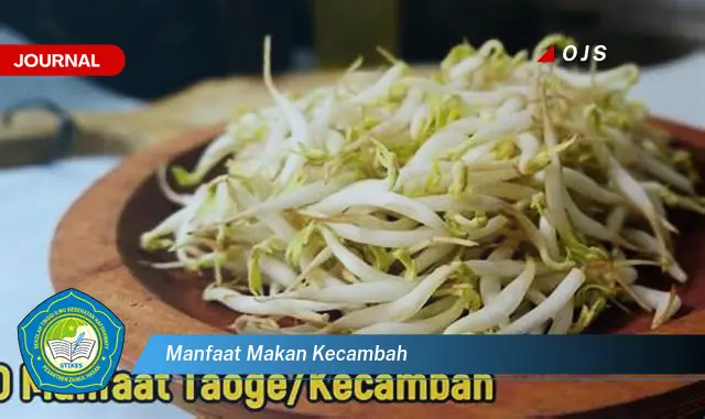manfaat makan kecambah manfaat makan kecambah
