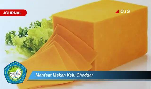 Temukan 6 Manfaat Makan Keju Cheddar yang Wajib Kamu Ketahui - E-Journal