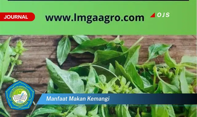 manfaat makan kemangi manfaat makan kemangi