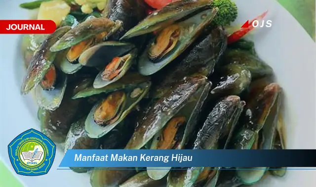 manfaat makan kerang hijau