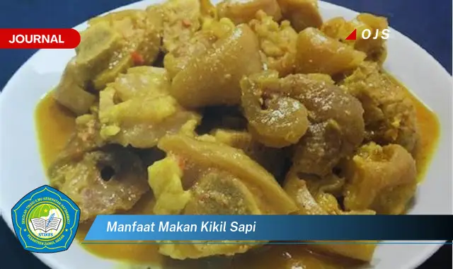 manfaat makan kikil sapi