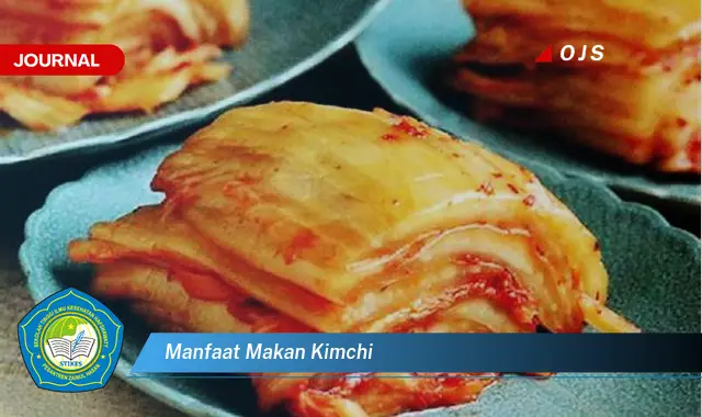 manfaat makan kimchi