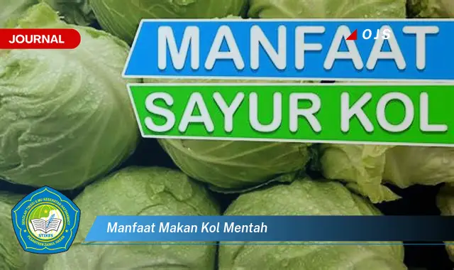 manfaat makan kol mentah