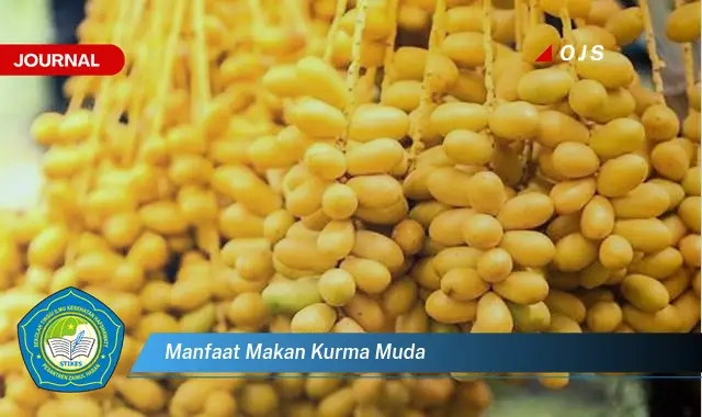 manfaat makan kurma muda