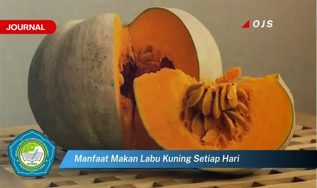 Temukan 6 Manfaat Makan Labu Kuning Setiap Hari yang Bikin Kamu Penasaran - E-Journal