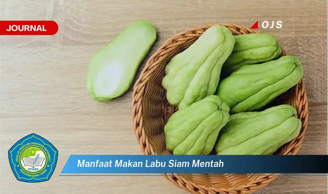 manfaat makan labu siam mentah