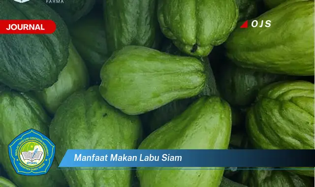 manfaat makan labu siam