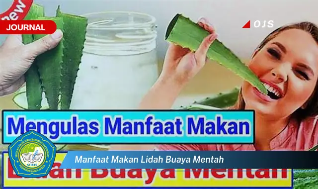 manfaat makan lidah buaya mentah manfaat makan lidah buaya mentah