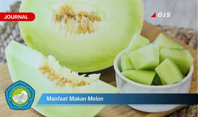 manfaat makan melon