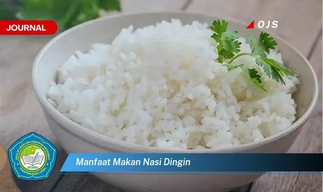 manfaat makan nasi dingin