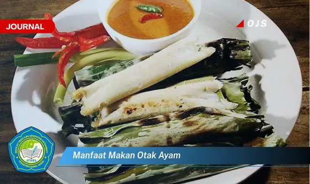 manfaat makan otak ayam