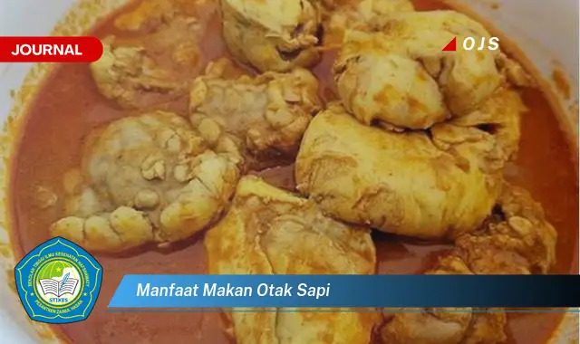 manfaat makan otak sapi manfaat makan otak sapi