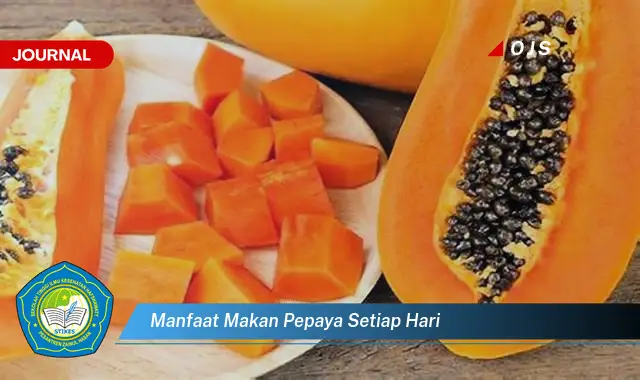 manfaat makan pepaya setiap hari