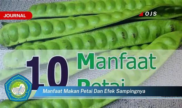 manfaat makan petai dan efek sampingnya