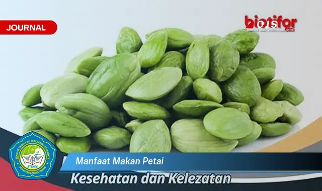 manfaat makan petai