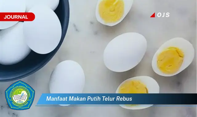 manfaat makan putih telur rebus