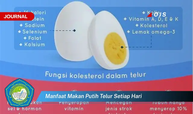 manfaat makan putih telur setiap hari