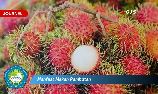 Ketahui 6 Manfaat Makan Rambutan yang Wajib Kamu Intip - E-Journal