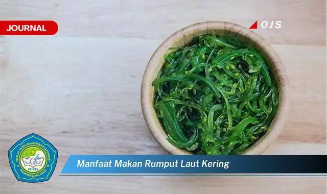 manfaat makan rumput laut kering manfaat makan rumput laut kering