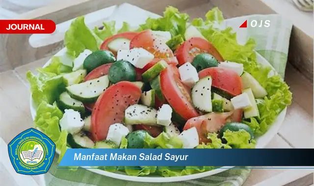 manfaat makan salad sayur manfaat makan salad sayur