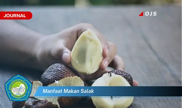 manfaat makan salak