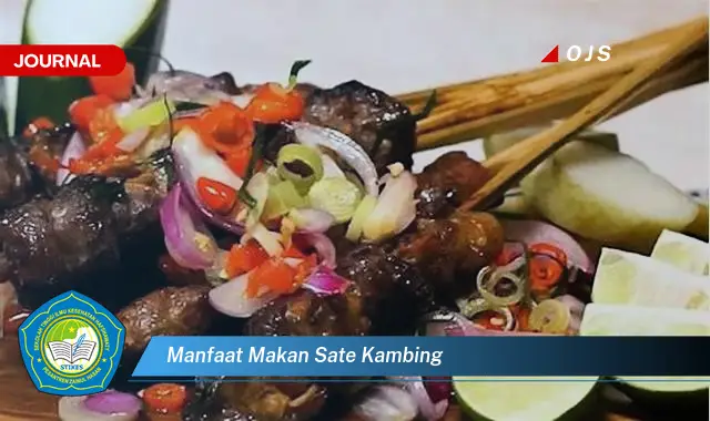 manfaat makan sate kambing manfaat makan sate kambing