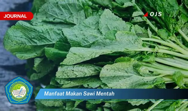 manfaat makan sawi mentah