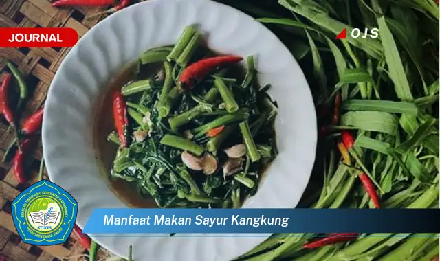 manfaat makan sayur kangkung manfaat makan sayur kangkung