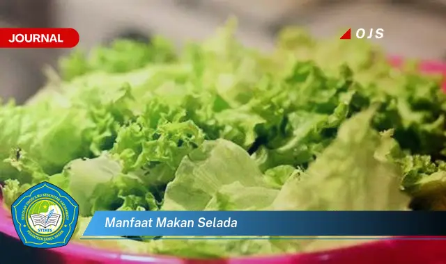 manfaat makan selada