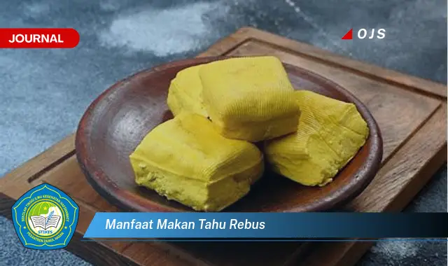 manfaat makan tahu rebus