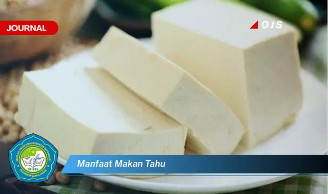 manfaat makan tahu